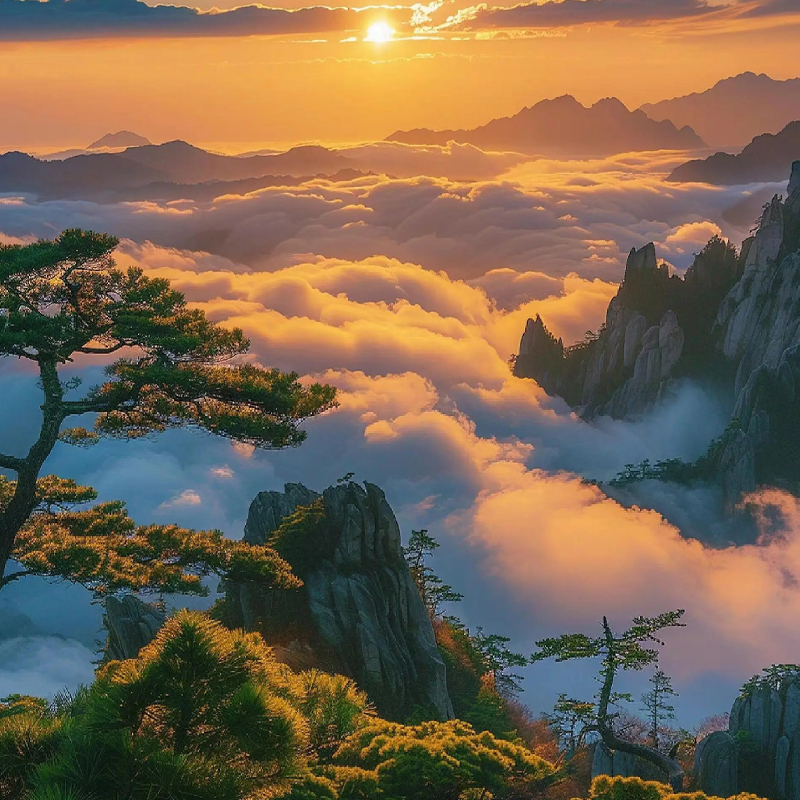 상해-오진-항주-황산 3박4일 세미패키지